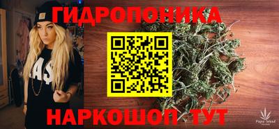 прущие крисы Кимры