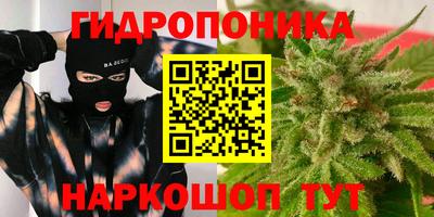 прущие крисы Кимры