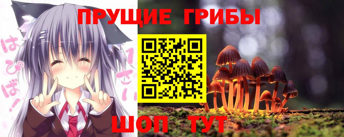 Дятьково  Псилоцибиновые грибы Psilocybe  Вход с VPN  Галлюциногенные грибы Psilocybine cubensis 